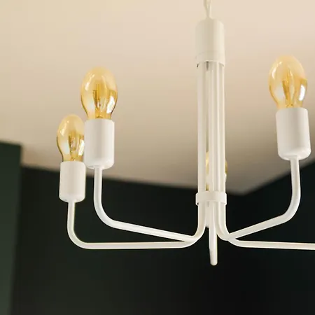 Wonderland For Rent *