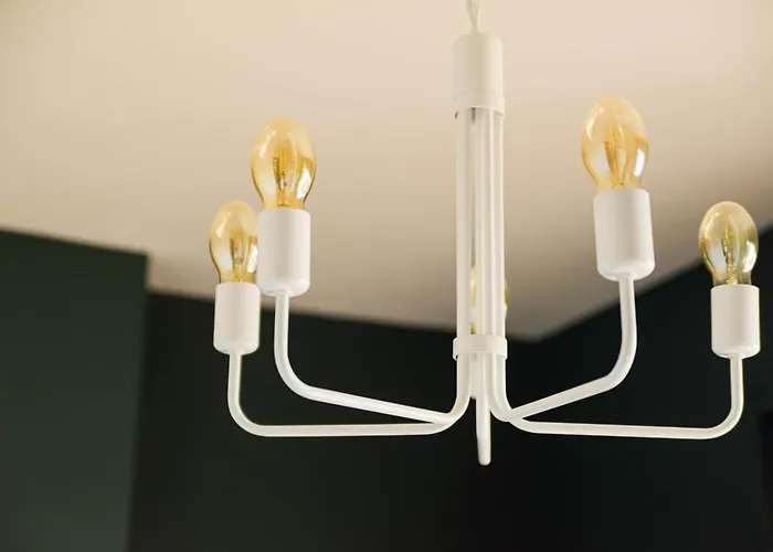 Wonderland For Rent *